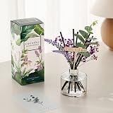 Cocod'or Lavender Reed Diffuser White Jasmine 6.7oz Home Fragrance view 5