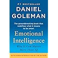 Emotional Intelligence: Why It Can Matter More Than IQ
