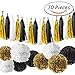 Paxcoo 30 Pcs Black and Gold Party Decorations with Tassel Garland and Paper Pom Poms for 20st, 30th, 40th, 50th, 60th, 70th,75th, 80th Birthday