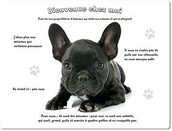 Merchandise For Fans Blechschild Warnschild Fun Turschild