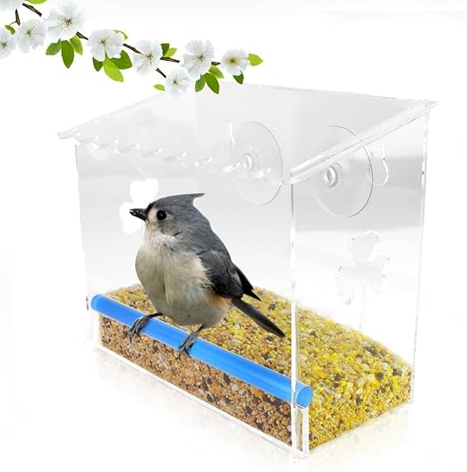 Amazon Com Up Window Bird Feeder Transparent Window Mounted