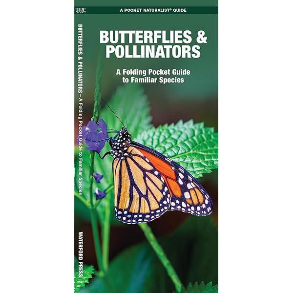 Amazon.com: One Hundred Butterflies: 9780316033633: Feinstein