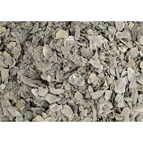 Scratch and Peck Feeds Cluckin' Good Oyster Shell Supplement for