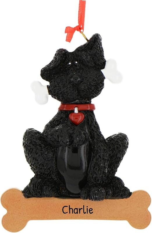 schipperke terrier mix