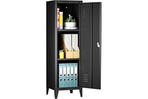 LISSIMO Metal Storage Cabinet with Lockable Doors and Shelves, Home Office Storage Lockers File Cabinet Organizer for Employees, Kids,Adults(Black)