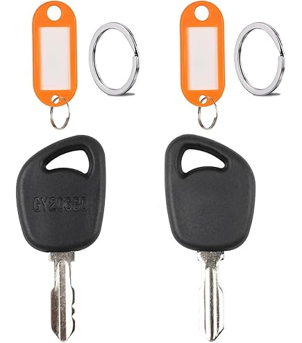 New Holland Tractor Key Equipment Keys 8035807 Ignition Key For Skytrak Bobcat Jlg Case 1089540 - Foto 8