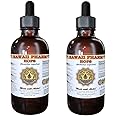 Hops Liquid Extract, Organic Hops (Humulus Lupulus) Tincture Supplement 2x4 oz