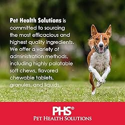 Pet Health Solutions L-Lysine Soft Chews for Cats