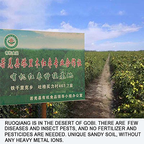 Wananfu - Jujube Fruit Dried 17.6oz - Red Jujube Dates / Hongzao (红枣) - Healthy Snacks Superfood - Image 5