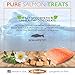 Best Paw Nutrition - Pure Salmon Treats for Dogs & Cats - Freeze-Dried, Grain-Free & All Natural - Made in The USA Only - Healthy Training & Reward Snacks - Small Bites of Joy Pets Love - 5oz