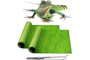REP BUDDY 2 Pack Reptile Carpet Rainforest Tropical Mat & Reversible Substrate, Terrarium Liner Bedding, for Lizard,Chameleon,Gecko,Snake,Ceratophrys with Tweezers Feeding Tong (20 Gallon(30x12in))
