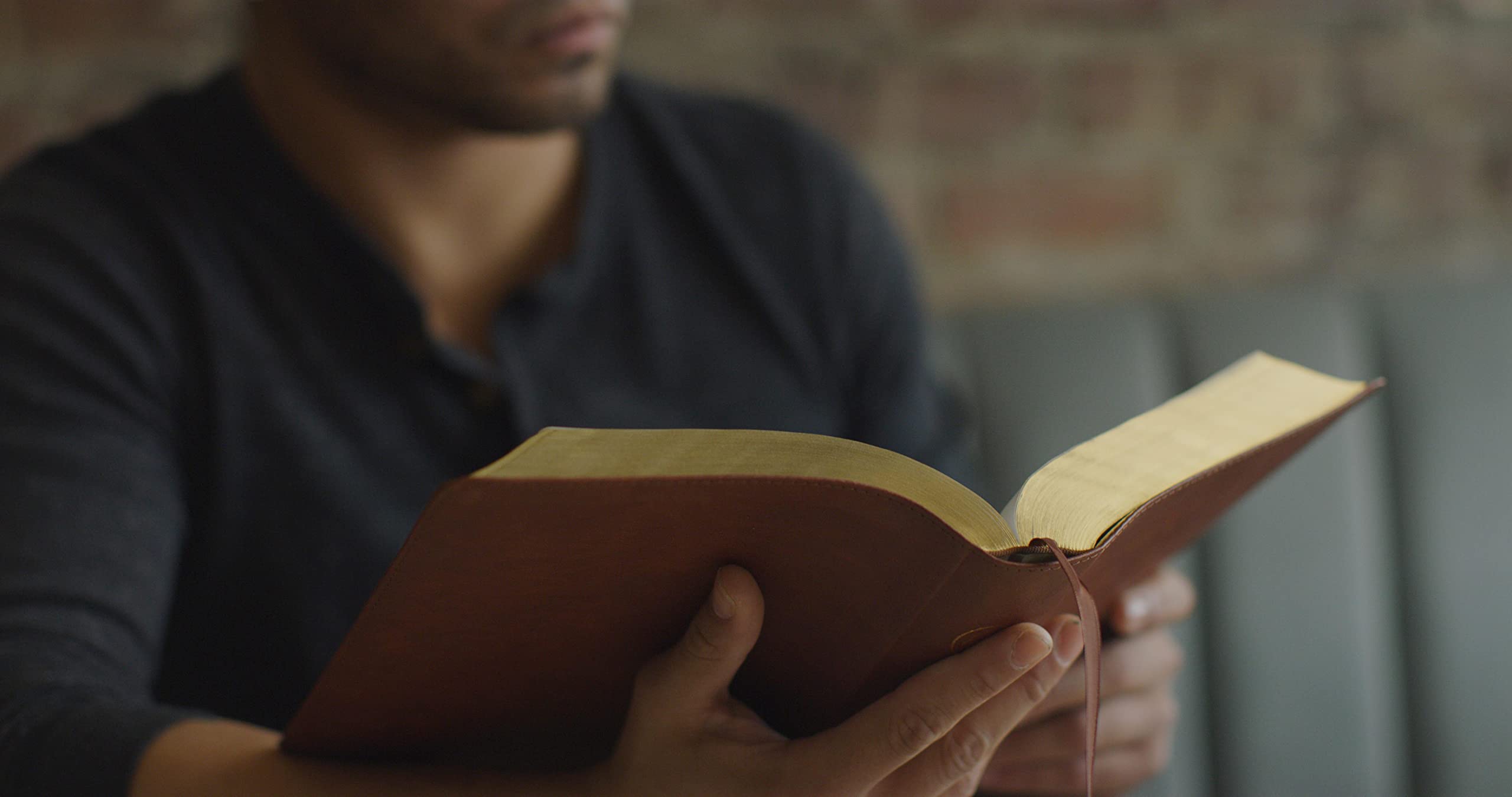 ESV Men's Study Bible (TruTone, Brown): Holy Bible, English Standard Version