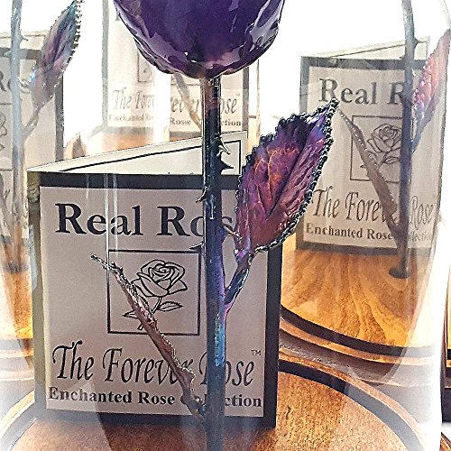 Forever Rose USA Brand The Beauty and The Beast Rose Enchanted Rose