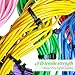 Black Cable Ties 8 Inch 100 Pack - Heavy Duty Multi-Purpose Nylon Zip Ties