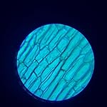 Review Image by Tim Tim