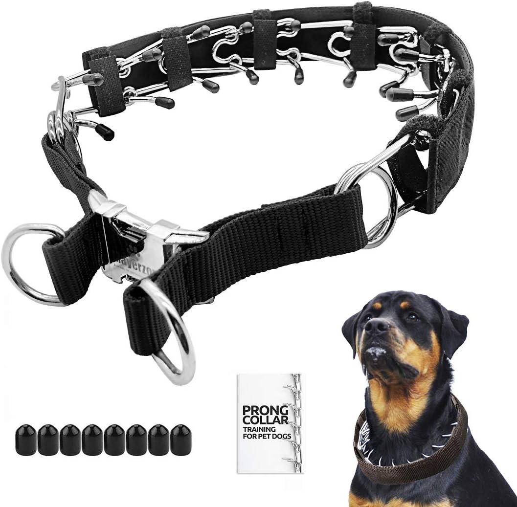 Best No Pull Dog Collars To Stop Pulling-Metal Prong Collars (1063 x 1038 Pixel)