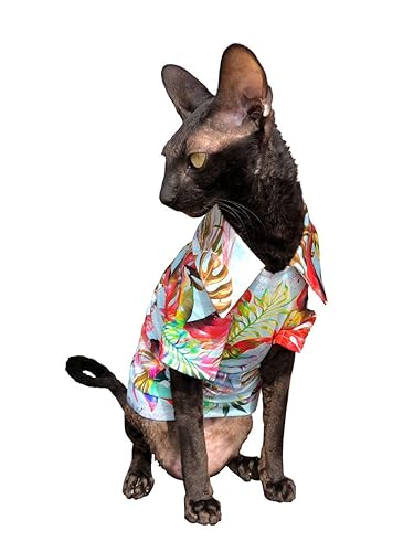Kotomoda cat wear Hawaiian Shirt (S) in Oman Whizz Apparel