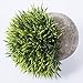 Leyaron Mini Plastic Fake Green Grass Small Artificial Potted Plants for Home Decor and Office