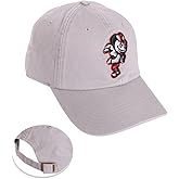 Desert Cactus Ohio State University Baseball Hat OSU Buckeyes Brimmed Embroidered Cap Adjustable Cloth Strap Adult Type B