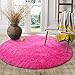 LOCHAS Luxury Round Fluffy Area Rugs for Bedroom Kids Girls Room Nursery, Super Soft Circle Rug, Cute Shaggy Carpet for Children Living Room, 4x4 Feet Hot Pink