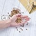 Pandahall 200pcs Natural Round Euro Wood Beads 8mm/0.3