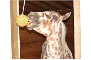 Hangin Ball - Apple - Part #: HBAP