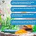 SunGrow 4-Pack Air Stones Bars for Fish Aquarium Tank Air Pump