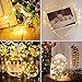 Decute 500LED 164ft Fairy String Lights Christmas Lights Indoor Outdoor Silver Wire with Remote, Firefly Lights Starry for DIY Christmas Tree Costume Wedding Party Table Centerpiece Decor(Warm White)