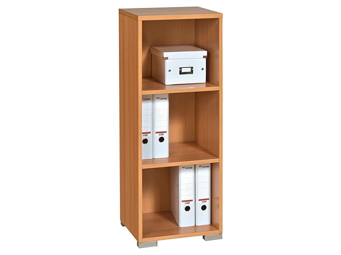Aktenregal Bücherregal Holzregal Standregal Wandregal Regal Büro 'Gerit XIII' Buche