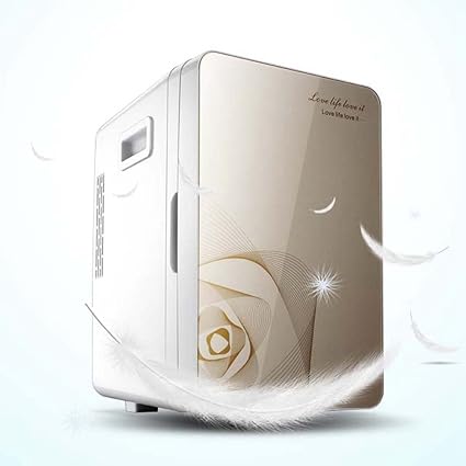 Amazon.es: GEGEGEQUNAERYA - Nevera de almacenamiento para coche ...