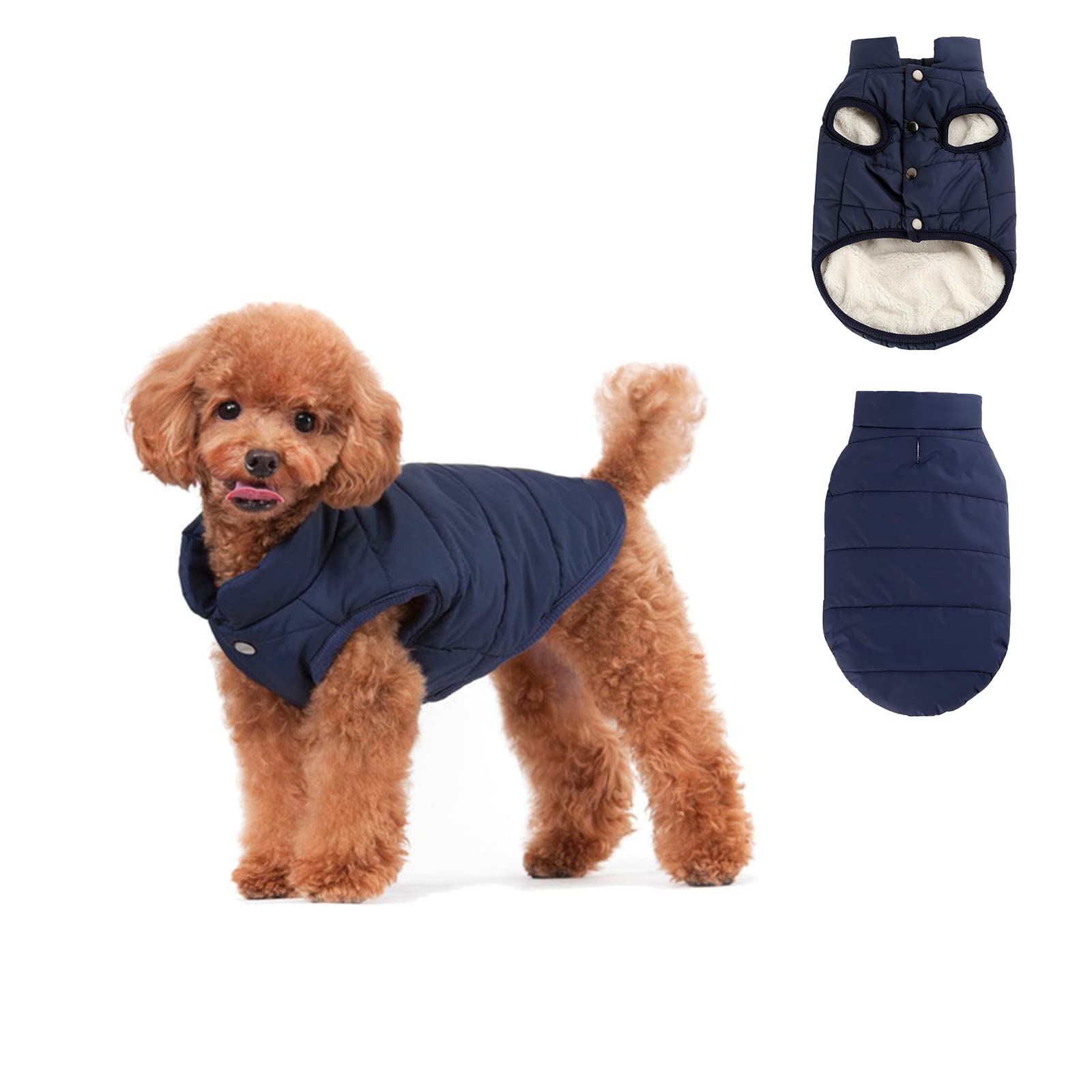 Penivo Pet Dogs Clothing, Winter Warm Coats and Jackets for Small Medium Large Dogs Cotton-padded Two Feet Clothes (S, Blue)