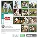 American Kennel Club Bulldogs 2018 Wall Calendar
