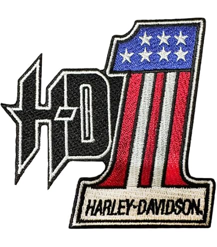 Patch Bordado Harley Davidson Caveira Grande Motociclista | Frete Grátis