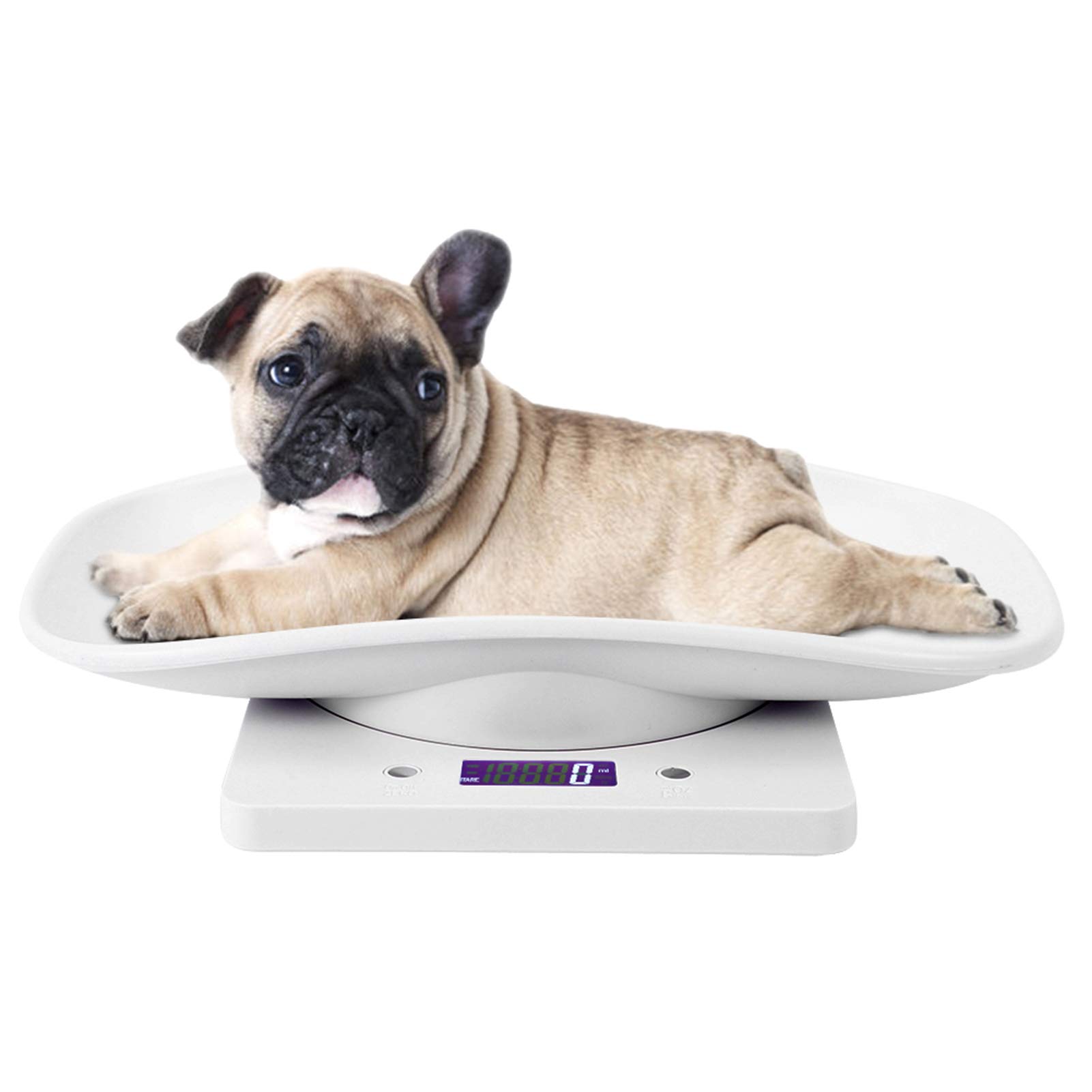 Kitchen Scale,10kg/1g Digital Small Pet Weight Scale for Cats Dogs Measure Tool Electronic Kitchen Scale