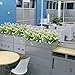 HOGADO Artificial Shrubs, 4pcs Fake Calla Lily Faux Plastic Greenery Plants Flower Arrangement for Home Kitchen Dining Room Hanging Planter Garden Cream