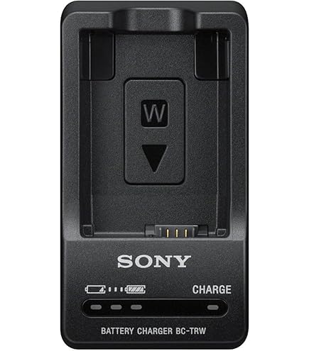 Amazon.com: Sony BC-U2A Dual-Bay Charger/AC Adapter for BP-U90/U60