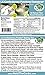 Low Carb Natural Sweetener - Powdered Inulin (Confectionery) - LC Foods - Paleo - Gluten Free - Diabetic Friendly - Low Carb Sugar - 10.5 oz