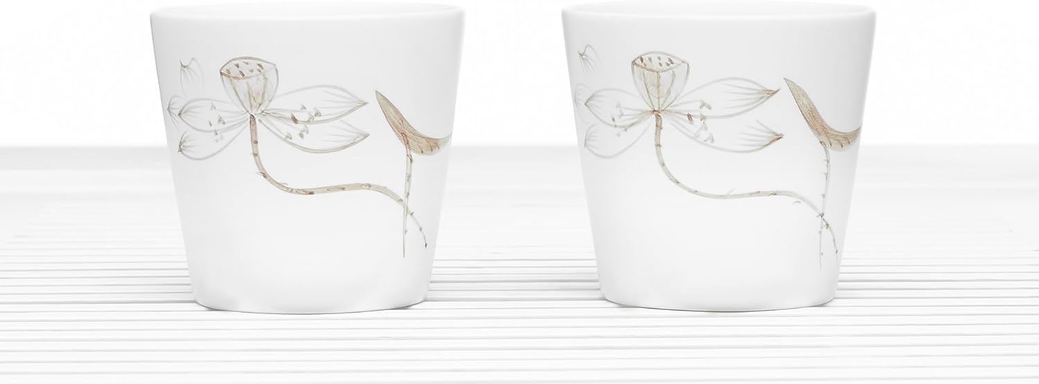 Teacup Set Porcelain Mugs No Handle Tall Tea Cups