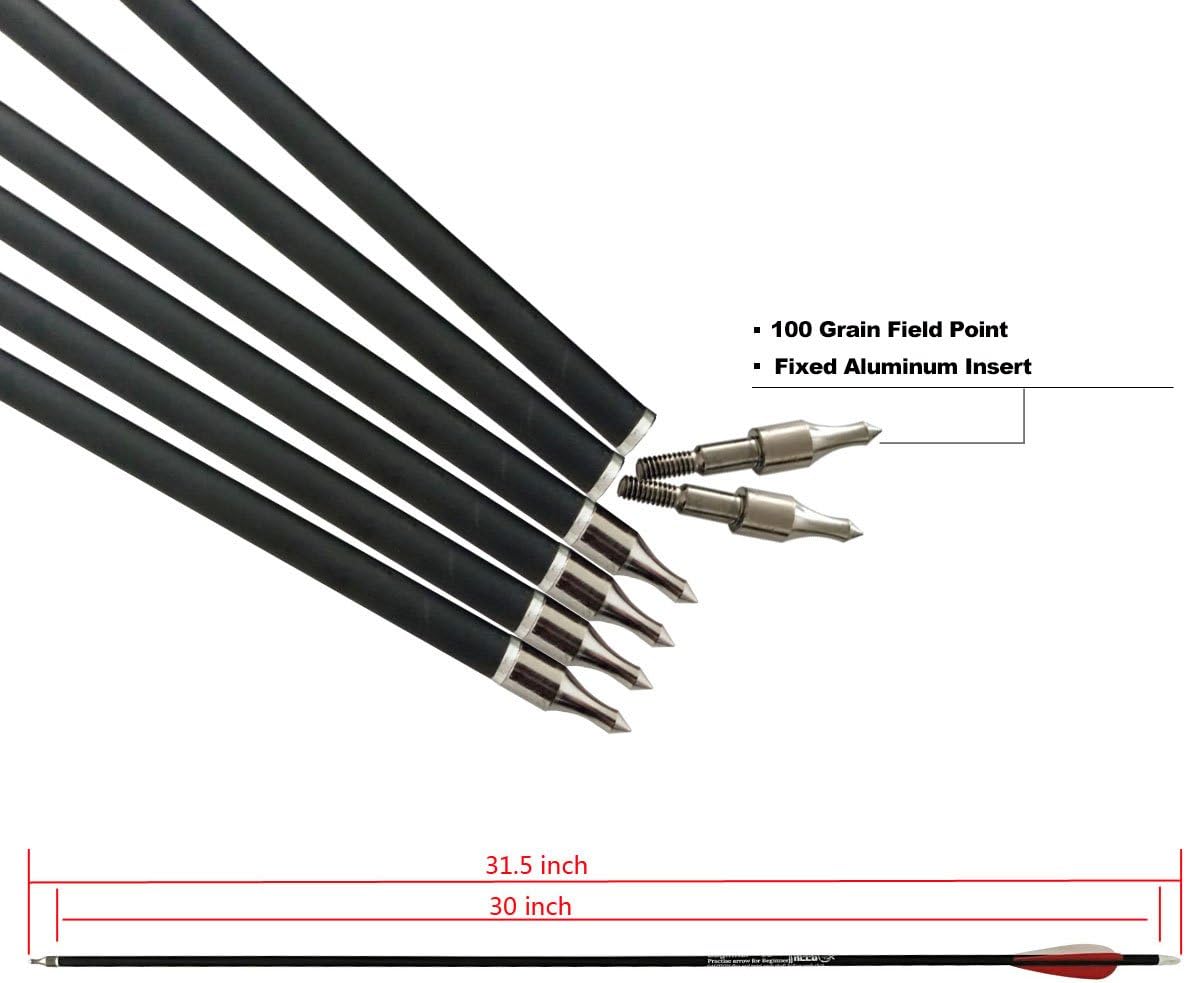 REEGOX Archery Hunting Practice Arrows for Compound and Recurve Bow-30 inch Target Arrows for Youth & Adults with Removable Tips(Pack of 12) : Sports & Outdoors