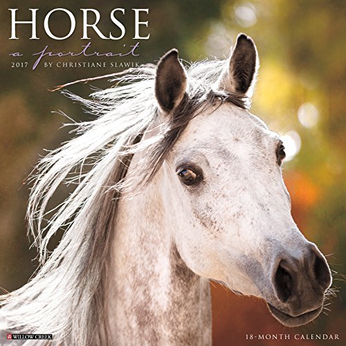 Horse: A Portrait 2017 Wall Calendar