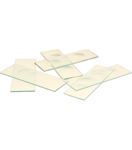 Vetrini Per Microscopio AmScope - 12 Pezzi A Depressione Singola, Vetro Di Alta Qualità, Bordi Levigati - Foto 12