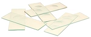 Eisco Labs Microscope Slides, with Single Concavity, Pack of 10