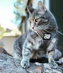 Travel Cat Harness and Leash Set - Adjustable Soft
