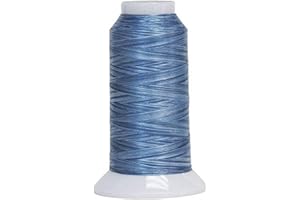 Superior Threads Fantastico 2-Ply 40-Weight High Strength Polyester Embroidery Quilting Sewing Thread - 2,000 Yard Cone (#5004 Baby Quinn)