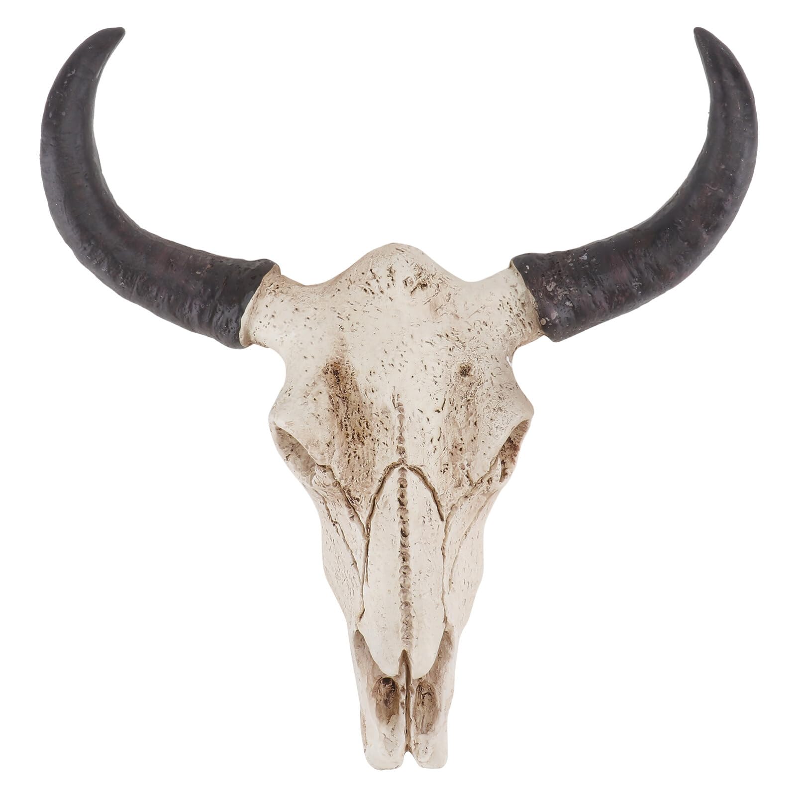 IMIKEYA Halloween Bull Skull Ornament Cow Head Skull Wall Hanging Artwork Realistic Animal Skeleton Sculpture for Western Home Office Decor