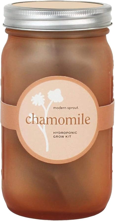 Amazon Com Modern Sprout Garden Jar Chamomile Garden Outdoor