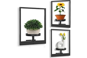 MYSTIQUE MAISON Wall Plant Holder Plant Picture Frame Wall Planters For Indoor Plant Stand Window Plant Shelves Hanging Plant Shelf Wall Hanging Planter Plant Frames Wall Decor Black Metal Wall Decor 3 Pack
