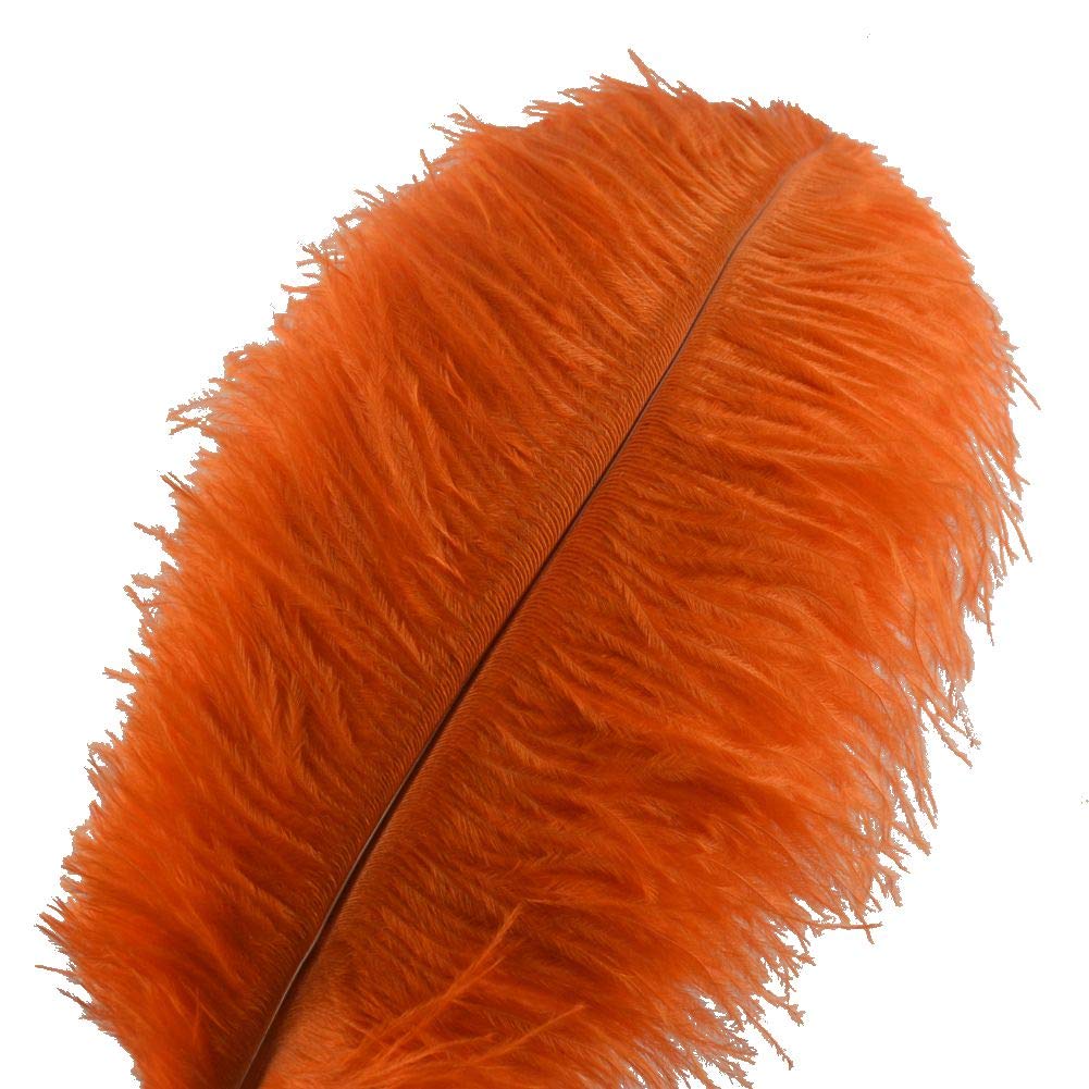 Sowder 10pcs Ostrich Feathers 12-14inch(30-35cm) for Home Wedding Decoration(orange)