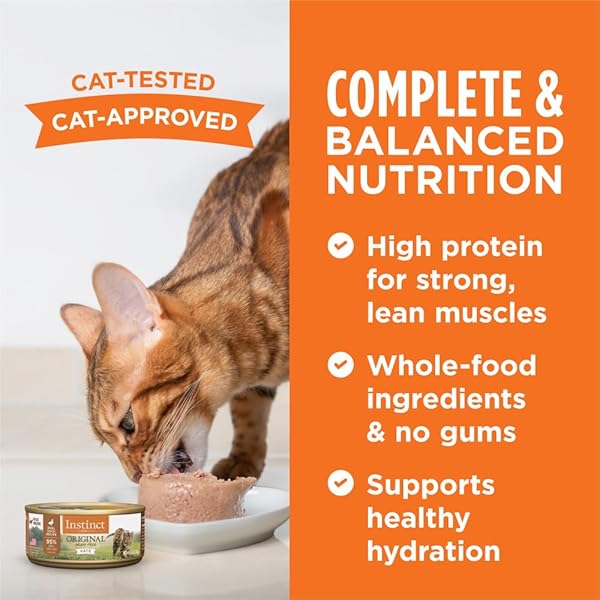 INSTINCT ORIGINAL PATE WET CAT FOOD, GRAIN FREE RECIPE – REAL DUCK, 5.5 OUNCE (PACK OF 12)