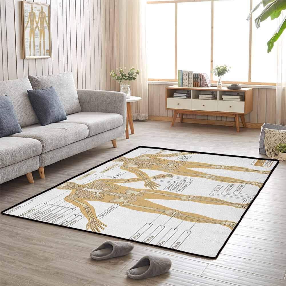 Human Anatomy Living Room Area Mat Rug Diagram of Human Skeleton System with Titled Main Parts of Body Joints Picture for Play Area Playroom Bedroom 6'6x9'10 White Tan